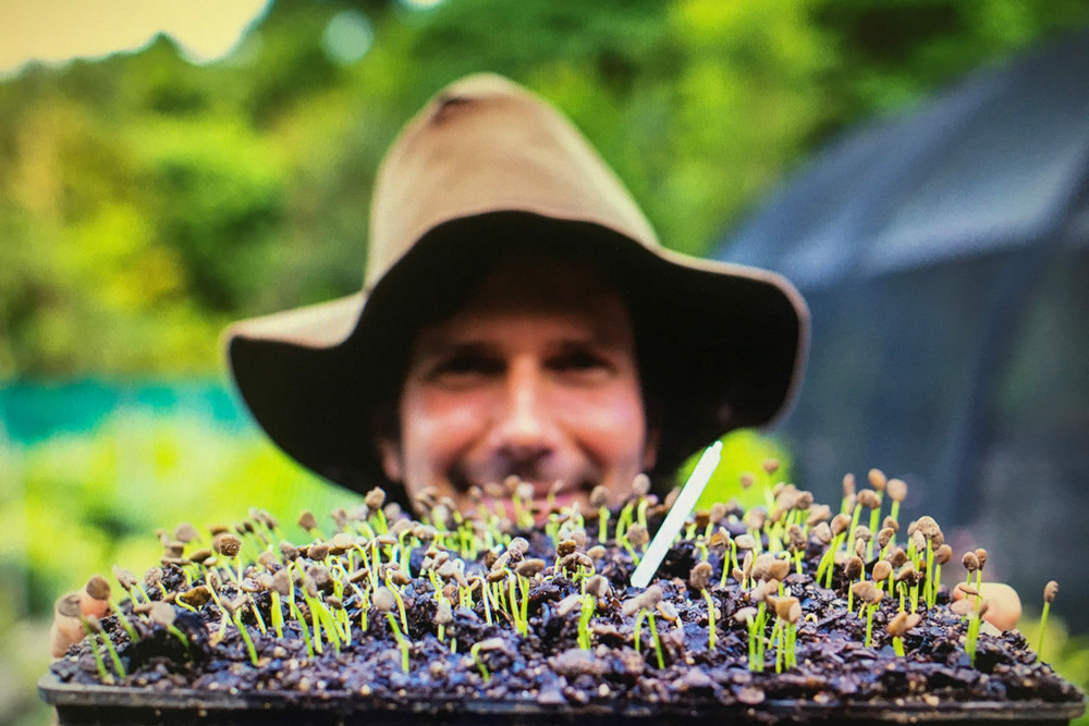 Nursery expansion helps restore rainforest The Express Newspaper