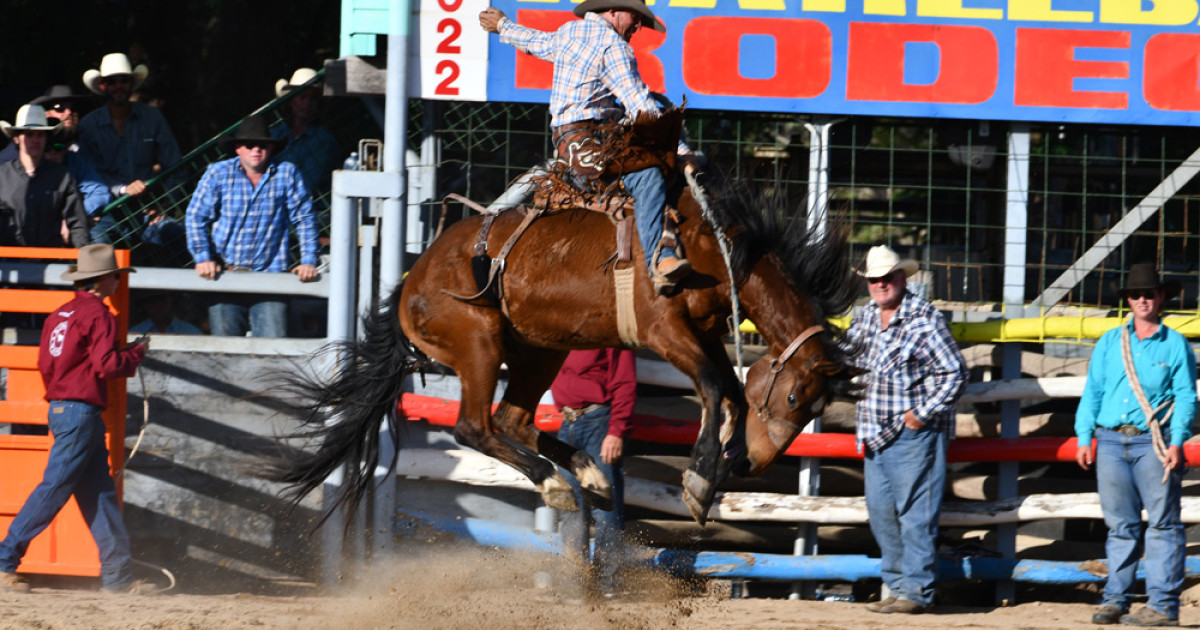 Rodeo back to two big days | The Express Newspaper Mareeba, Atherton ...