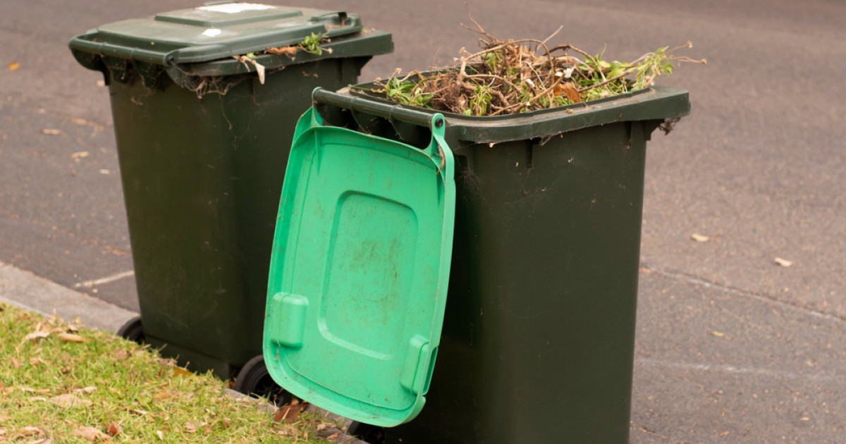 Free green waste days for Shire The Express Newspaper Mareeba